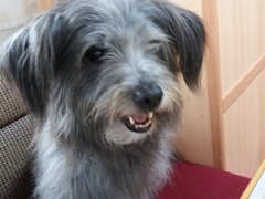 Obermaiselstein 2018 (3)